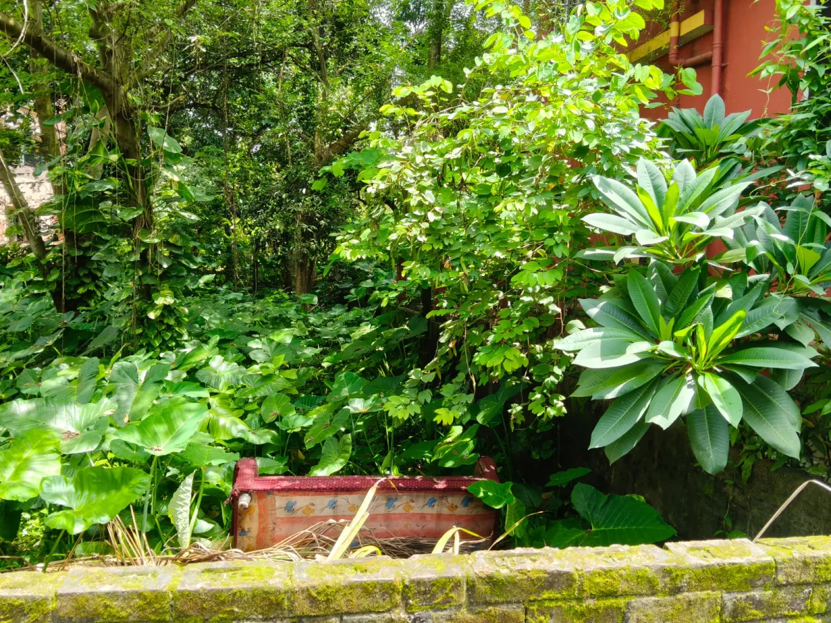 Plot in vivekanand sarani Madhyamgram Basungar near by Jessore Road