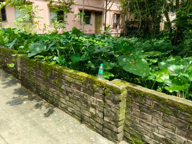 Plot in vivekanand sarani Madhyamgram Basungar near by Jessore Road