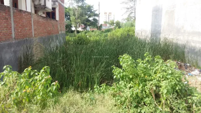 1000 sq.ft residential plot